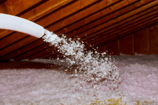 Types of Insulation We Offer in Combee Settlement, FL