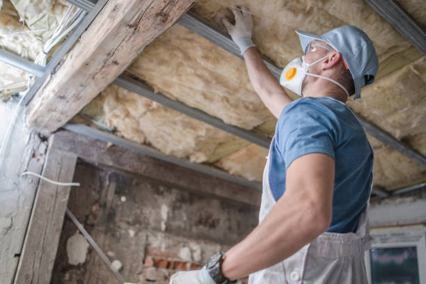 Best Energy Efficiency Insulation in Combee Settlement, FL