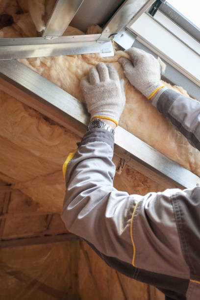 Best DIY Insulation Kits and Guidance in Combee Settlement, FL