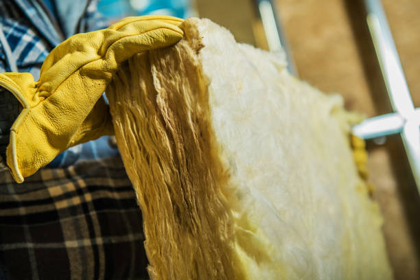 Best Geographic-Specific Insulation Services in Combee Settlement, FL
