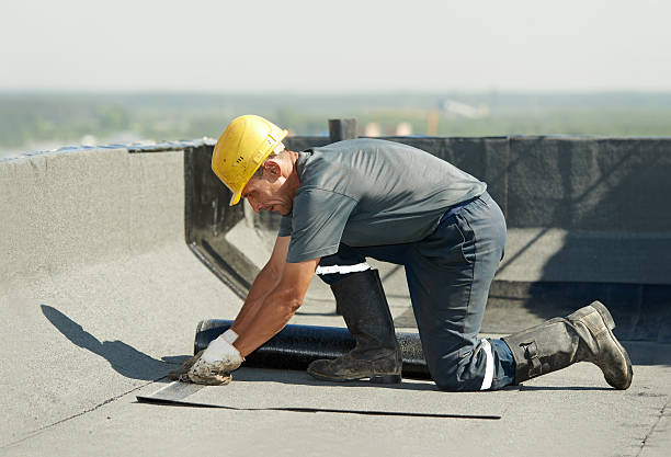 Best Specialized Insulation Services in Combee Settlement, FL