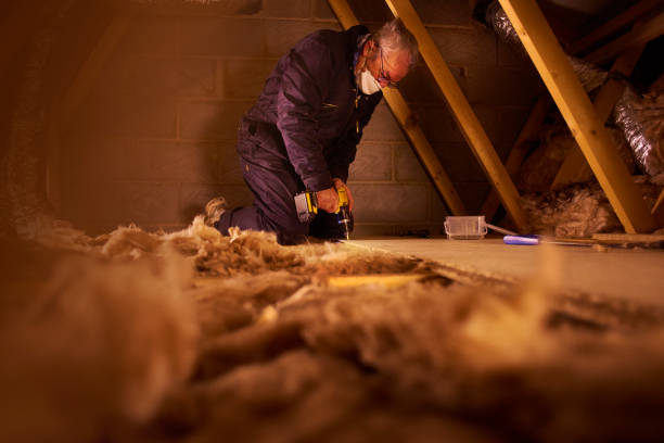 Best Blown-in Insulation in Combee Settlement, FL